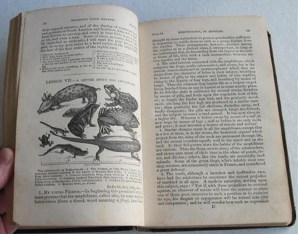 Fifth Reader of the School and Family Series c.1861 by Willson Science History Illustrated Textbook