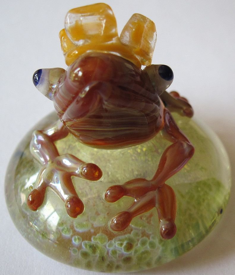 2019 year - How to Care for a Glass Frog (Centrolene Prosoblepon) 2019 year