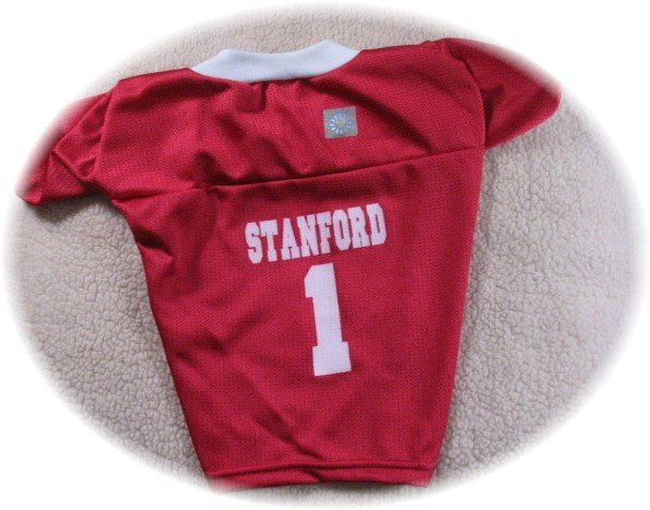 Stanford Cardinal Deluxe NCAA Sports Logo Dog Jersey XL Size