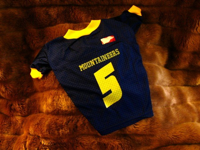 West Virginia University WVU Mountaineers Deluxe NCAA Dog Jersey 2X Size Gold Lettering