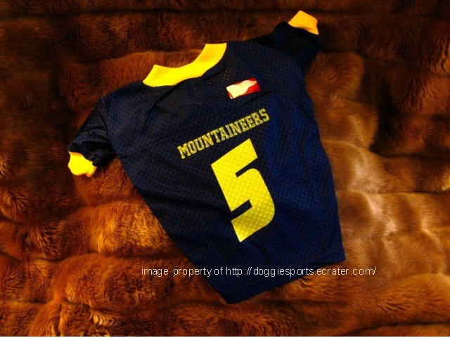 West Virginia University WVU Mountaineers Deluxe Dog Jersey Small Size