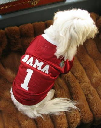 Alabama Crimson Tide NCAA College Football Dog Jersey Petite Size