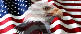 American Flag 2 w/ Eagle - Car Window Perf