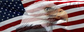 American Flag 1 w/ Eagle - SUV Window Perf