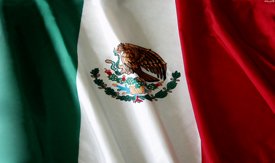 Mexican Flag - Car Window Perf
