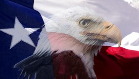 Texas Flag w/ Eagle - Car Window Perf