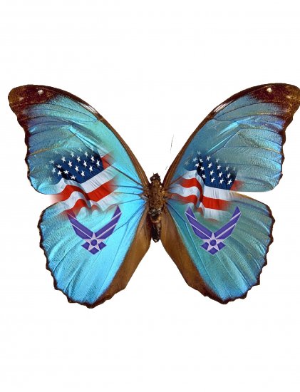 Air Force Butterfly