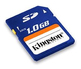 Kingston 1GB Secure Digital Card