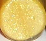 Mini Lip Gloss- Rush Order Yellow