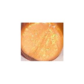 Mini Lip Gloss- Orange Socket :: LAST DAY, Leaving 3/17!)