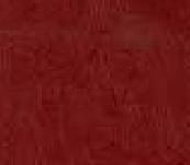 Shimmer Lip Tint in Dark Red Gold