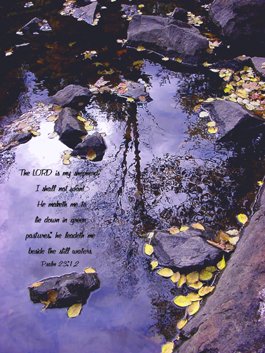 Tree Relfection**8"x10" Matted Origianl Photo**Psalm 23:1-2