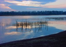 Boston Pond Sunrise**8"x10" Matted Original Photo