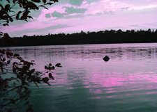 Magenta Sunset*8"x10" Matted origianl Photo
