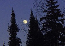 Moon Night**8"x10" Matted Original Photo