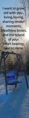 Winter Swing****inspirational