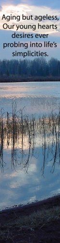 Boston Pond Sunrise*****inspirational