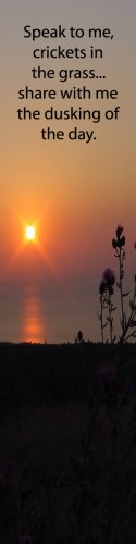 Brockway Mountain Sunset-crickets in the grass***inspirational
