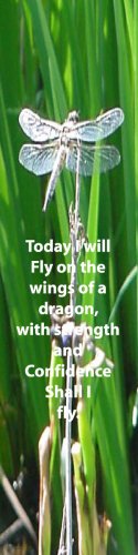 Dragonfly**inspirational