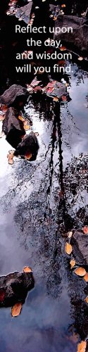 Tree Reflection***inspirational