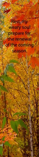Fall Leaves***Inspirational