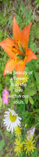 Wild Flowers***inspirational