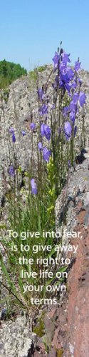 Flowers in The Rocks***Inspirational