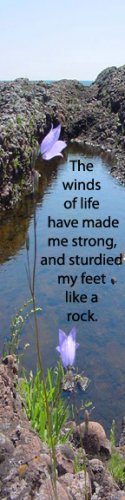 Winds of Life***Inspirational
