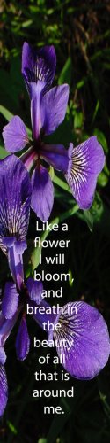 Wild Purple Irises***Inspirational