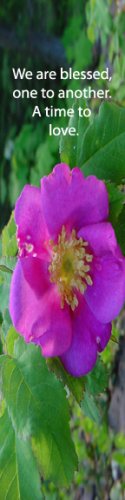 Time to Love***Inspirational