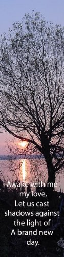 Tree Silhouette***Inspirational