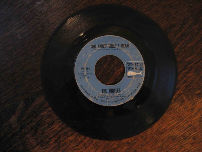 Turtles 45rpm single, "Rugs of Woods & Flowers" b/w "You Know What I Mean"