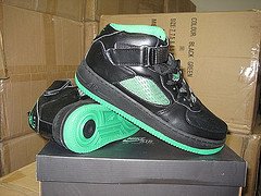 Fusions 5_1