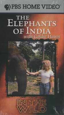 PBS The ELEPHANTS of INDIA with GOLDIE HAWN New