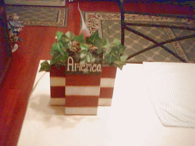 Flag Lamp