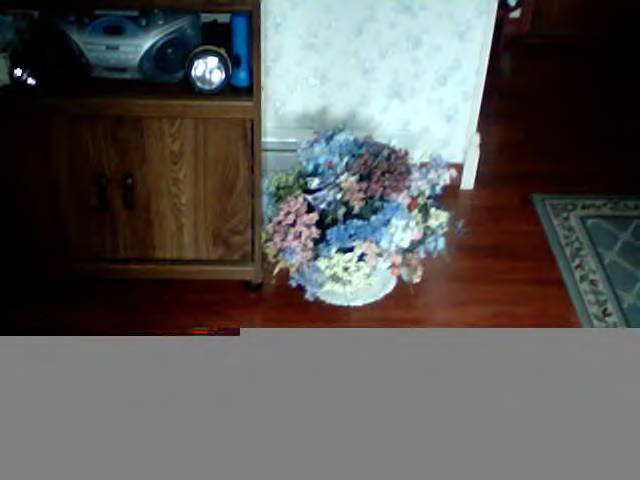 Spring Basket