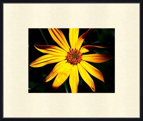 Framed 11x14 Art Photo Print Wall Decor Abstract new
