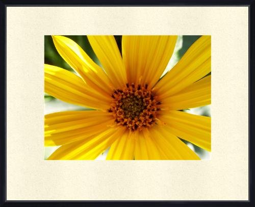 Framed 11x14 Art Photo Print Wall Decor Abstract new