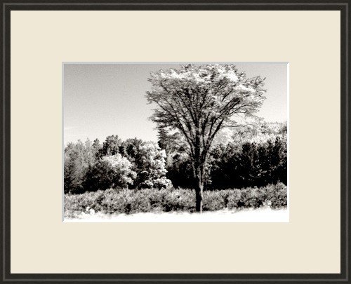 Framed 11x14 Art Photo Print Wall Decor Abstract new