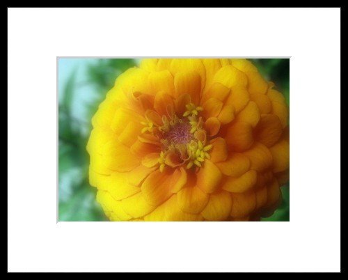 Framed 11x14 Art Photo Print Wall Decor Abstract new