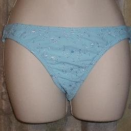 New Daffy Light Blue Mid Rise Bikini Bottom Small