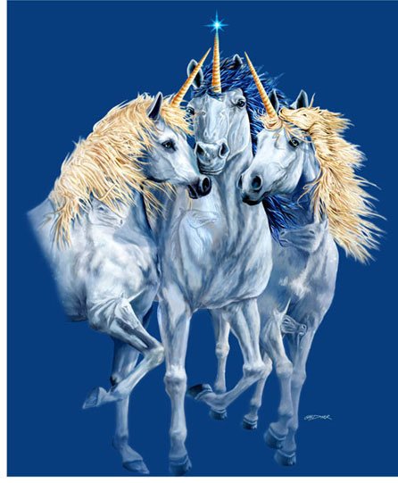 Brand New Unicorn Family Queen Mink blanket