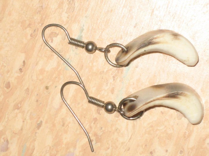 shell earrings