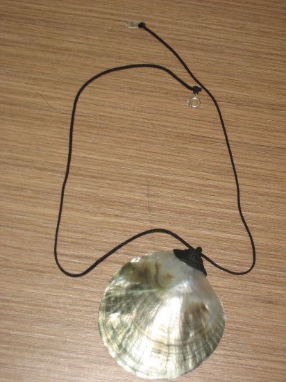 shell necklace