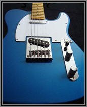 TeleSnaZzer