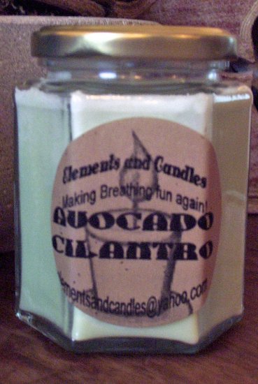 Avocado Cilantro