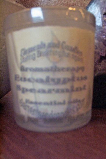 Eucalyptus Spearmint Candle