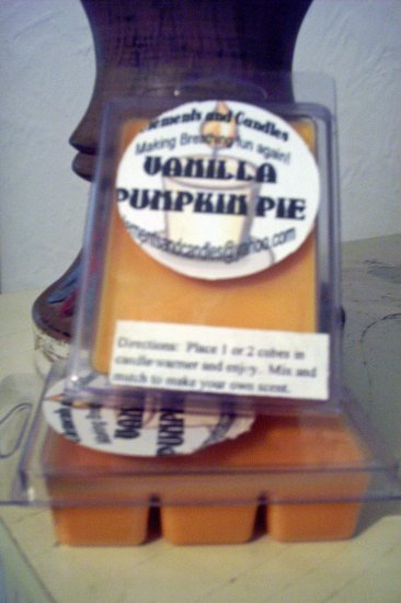 Vanilla Pumpkin Pie
