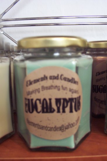 Eucalyptus