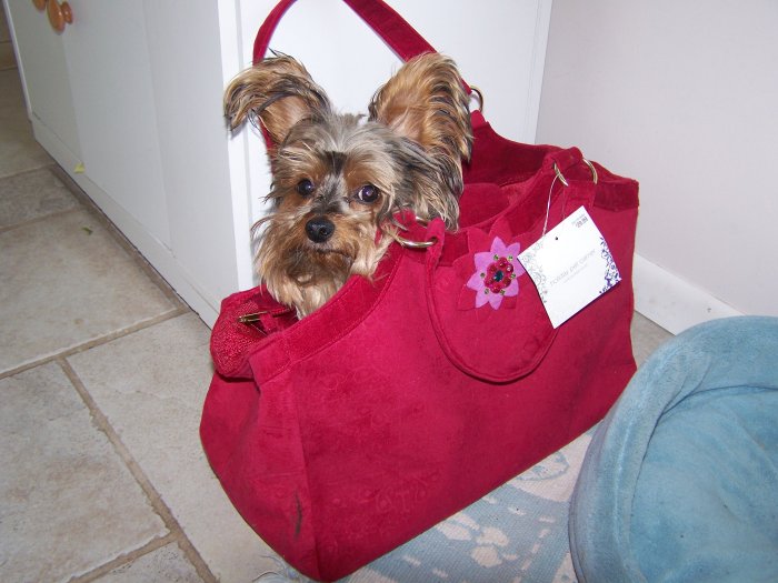 NEW with tags Red Dog Bag Purse